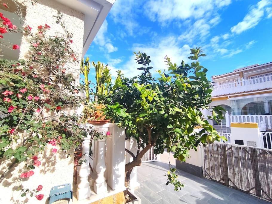 Rincon Mediterraneo กราน อาลากันต์ ภายนอก รูปภาพ